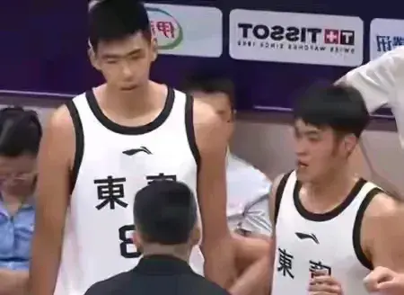 麦考尔