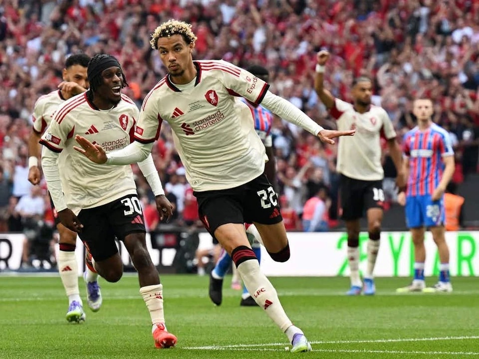 订阅者还可 订阅者还可