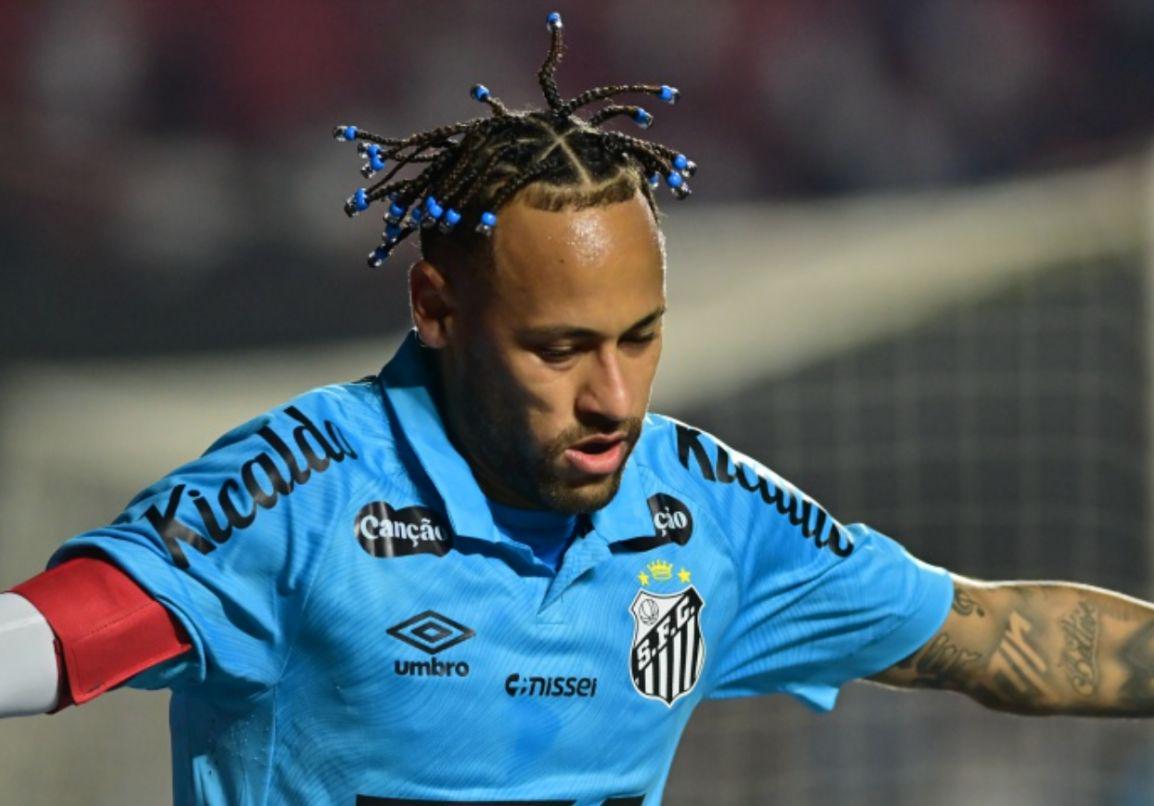 基本上属于 基本上属于