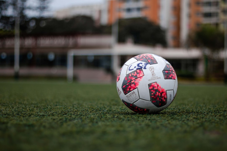 共有五名新 共有五名新